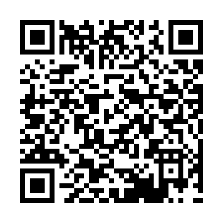 QR code for P013X