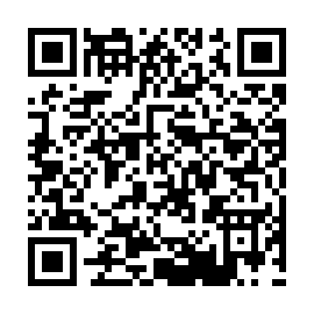 QR code for P017E