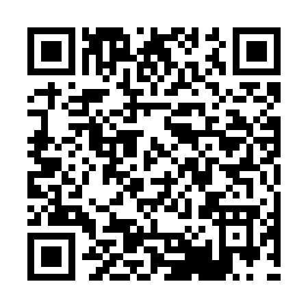 QR code for P017G