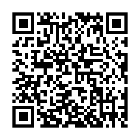 QR code for P017N