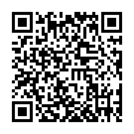 QR code for P018G