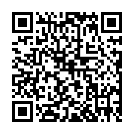 QR code for P028I