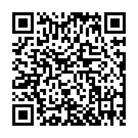 QR code for P029A