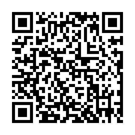 QR code for P029G