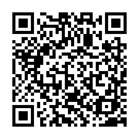 QR code for plate P03 3VH