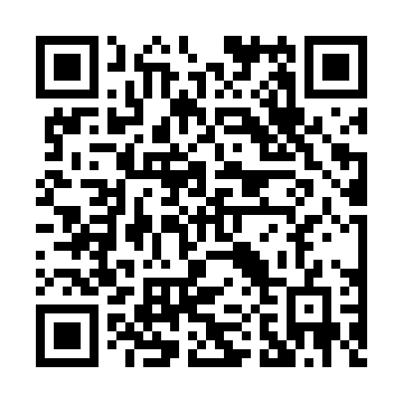 QR code for plate P03 4PG