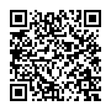 QR code for P036S
