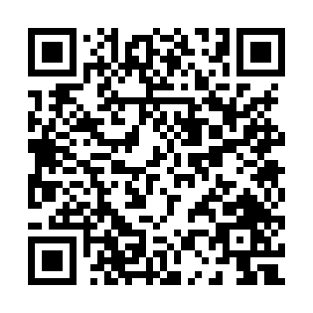 QR code for P038T
