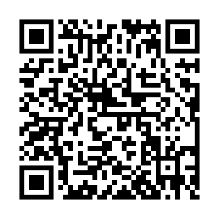 QR code for P038U