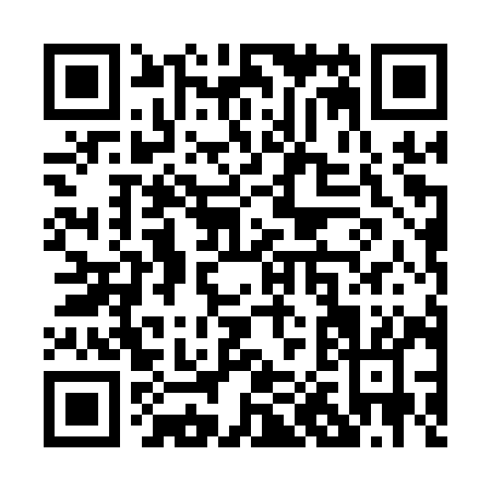 QR code for P041Y