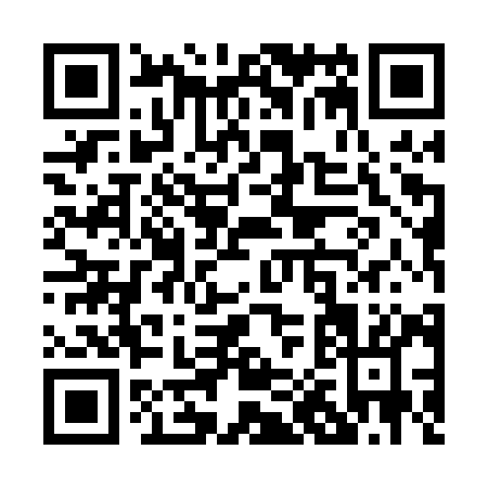 QR code for P050Y