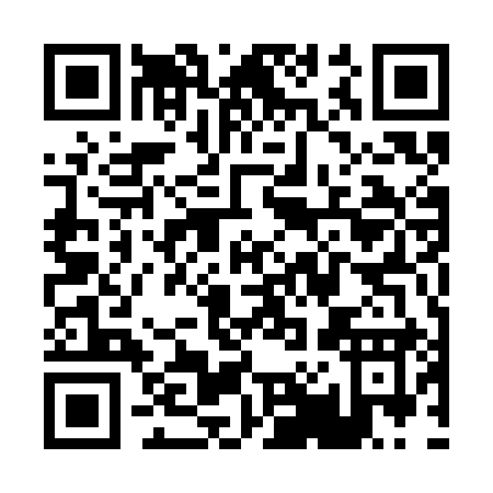 QR code for P053I