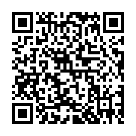 QR code for P055T