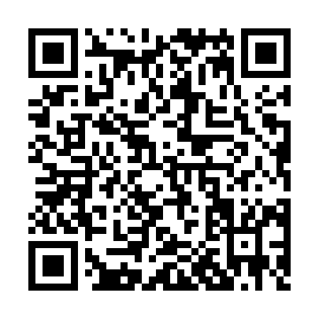 QR code for P055Y