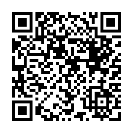 QR code for P060C
