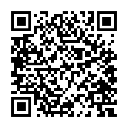 QR code for P063D