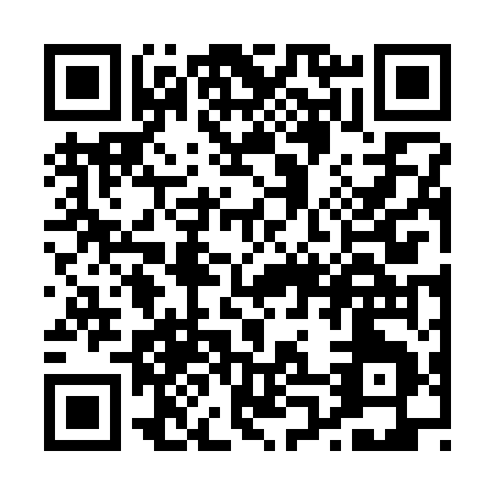 QR code for P063U