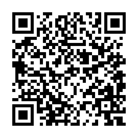 QR code for P065I