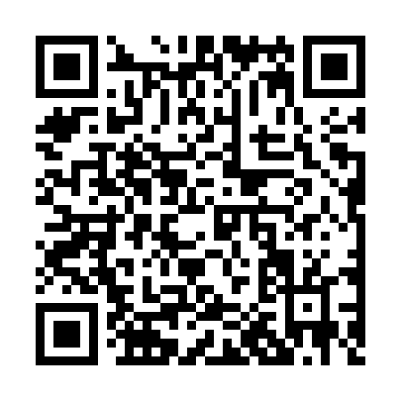 QR code for P075T