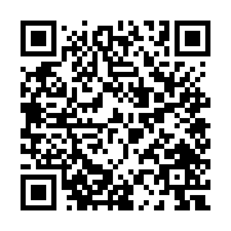 QR code for P077T