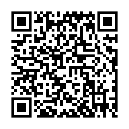 QR code for P078V