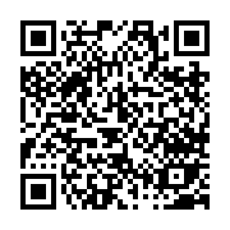QR code for P082O