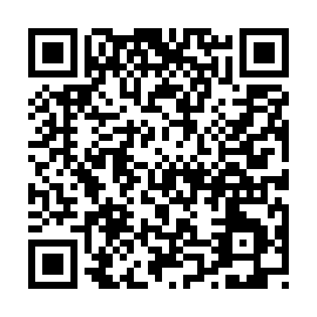 QR code for P085Y