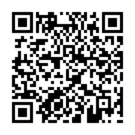 QR code for P091DG