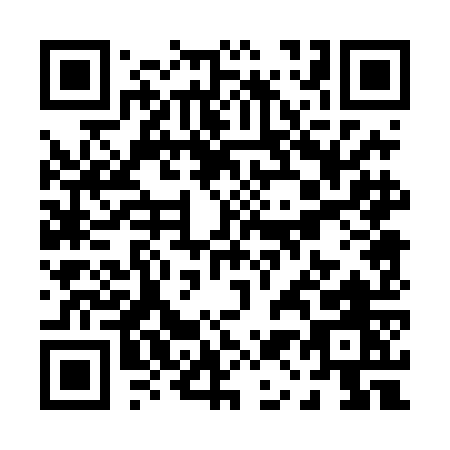 QR code for P104O