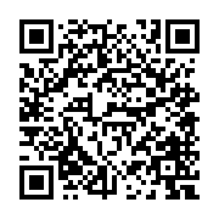 QR code for P105M