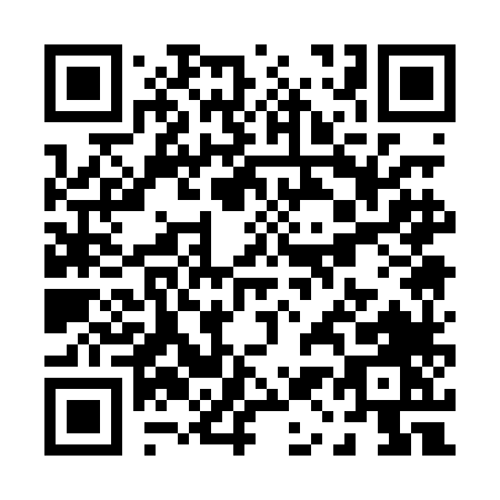 QR code for P110L