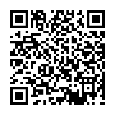 QR code for P113S