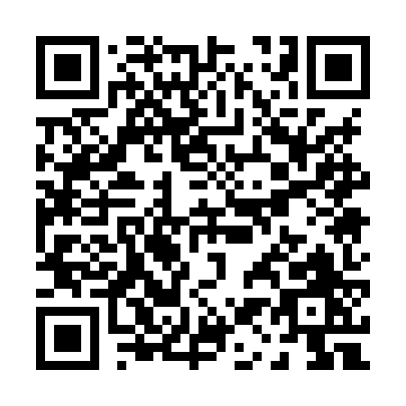 QR code for P118Z