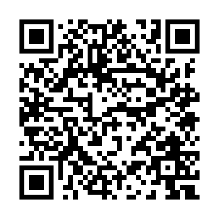 QR code for P119G