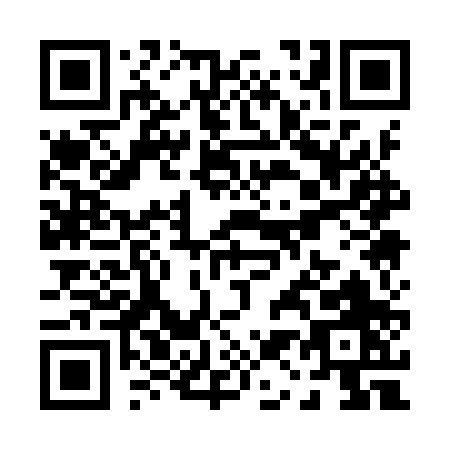 QR code for P119P