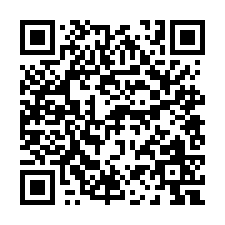 QR code for P126K