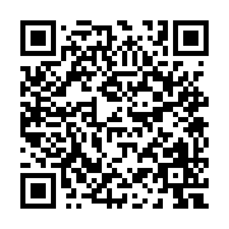 QR code for P131Y