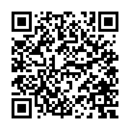 QR code for P132N