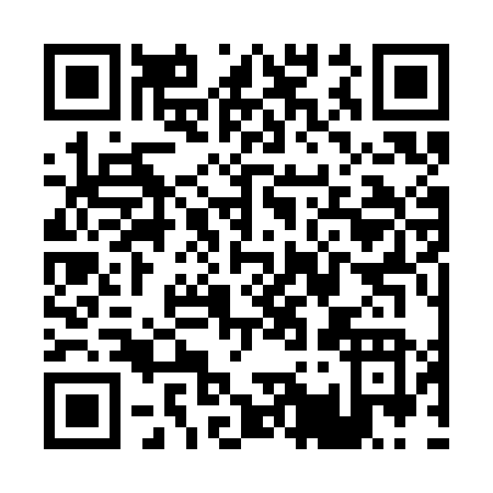 QR code for P133N
