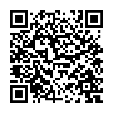 QR code for P133R