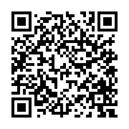 QR code for P138H