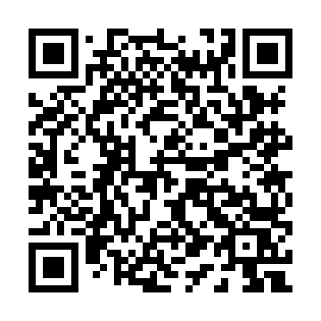 QR code for P138LS