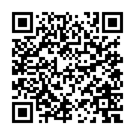 QR code for P138O