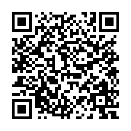 QR code for P138Q