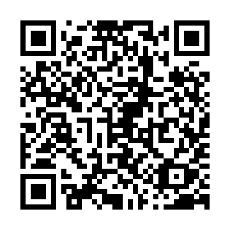 QR code for P138YY
