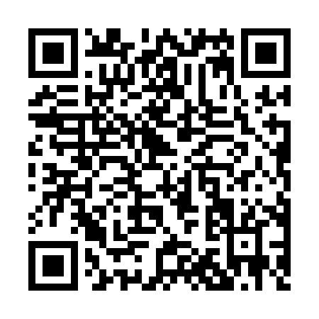 QR code for P141H