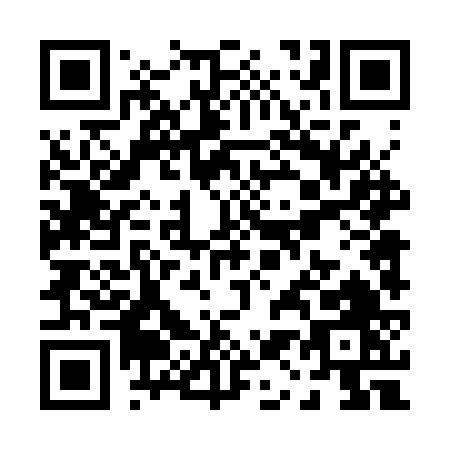 QR code for P143V