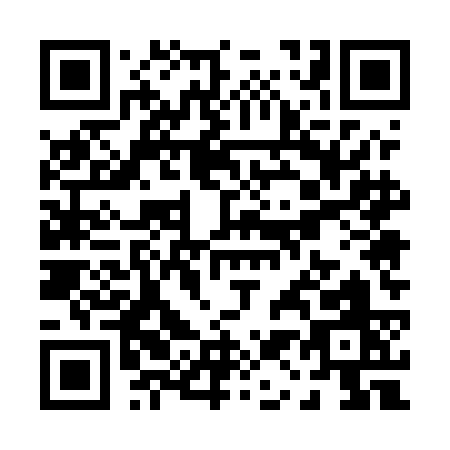 QR code for P155C