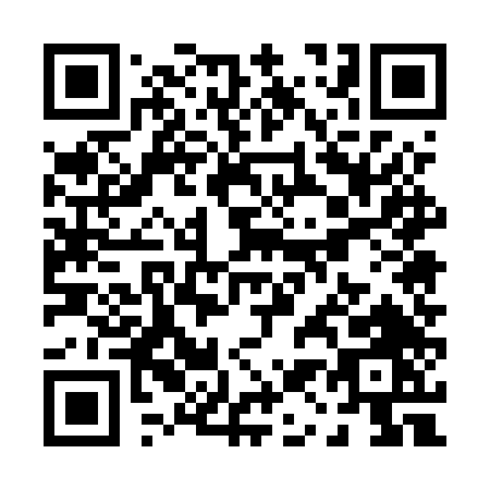 QR code for P155T