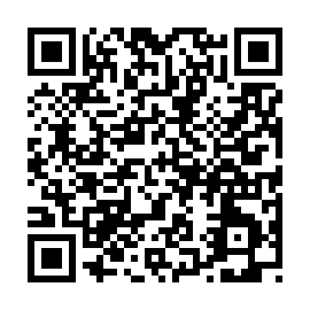 QR code for P156I